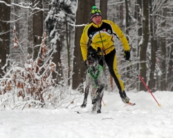 skijoring - 2